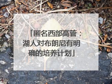 匿名西部高管：湖人对布朗尼有明确的培养计划