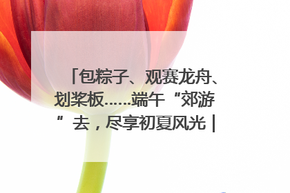 包粽子、观赛龙舟、划桨板……端午“郊游”去，尽享初夏风光｜端午氛围最浓时①