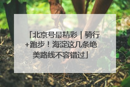 北京号最精彩｜骑行+跑步！海淀这几条绝美路线不容错过