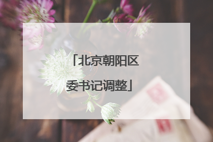北京朝阳区委书记调整