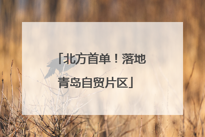北方首单！落地青岛自贸片区