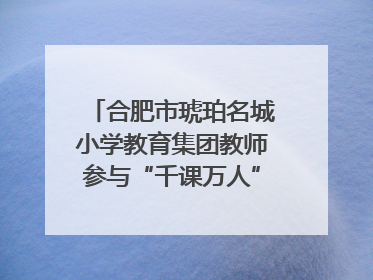 合肥市琥珀名城小学教育集团教师参与“千课万人”数学论坛活动