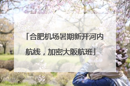 合肥机场暑期新开河内航线，加密大阪航班