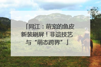 同江：萌宠的鱼皮新装刷屏！非遗技艺与“萌态跨界”