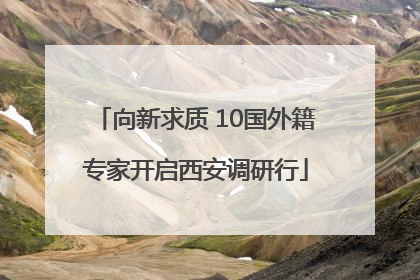 向新求质 10国外籍专家开启西安调研行