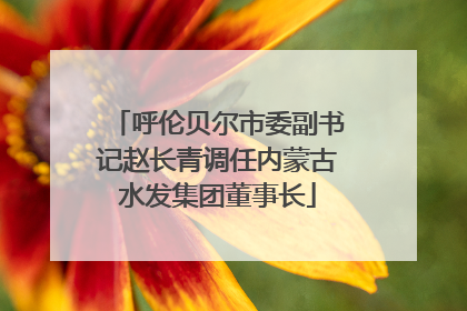 呼伦贝尔市委副书记赵长青调任内蒙古水发集团董事长