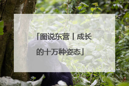 图说东营丨成长的十万种姿态
