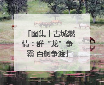 图集丨古城燃情：群“龙”争霸 百舸争渡