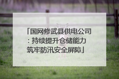 国网修武县供电公司：持续提升仓储能力 筑牢防汛安全屏障