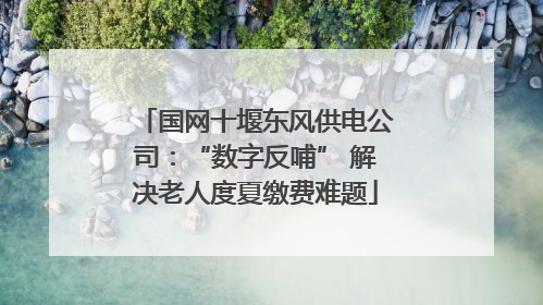国网十堰东风供电公司：“数字反哺” 解决老人度夏缴费难题