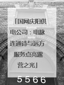 国网庆阳供电公司：电脉连通诗与远方 服务点亮露营之光