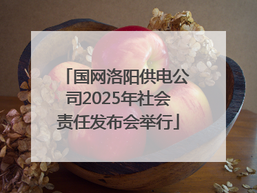国网洛阳供电公司2025年社会责任发布会举行