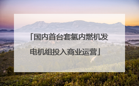 国内首台套氢内燃机发电机组投入商业运营