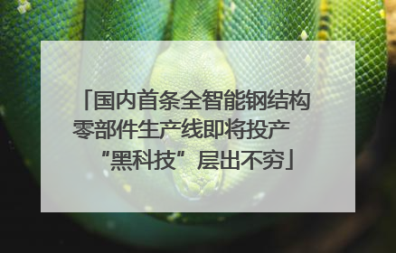 国内首条全智能钢结构零部件生产线即将投产 “黑科技”层出不穷