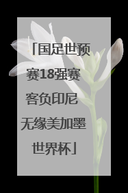 国足世预赛18强赛客负印尼 无缘美加墨世界杯
