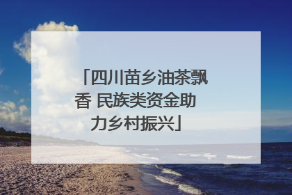 四川苗乡油茶飘香 民族类资金助力乡村振兴