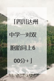 四川达州中学一对双胞胎同上600分+