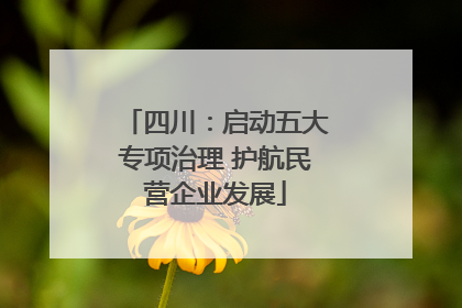 四川：启动五大专项治理 护航民营企业发展