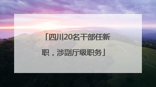 四川20名干部任新职，涉副厅级职务