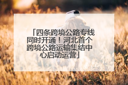 四条跨境公路专线同时开通！河北首个跨境公路运输集结中心启动运营