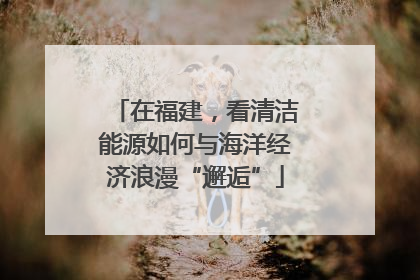 在福建，看清洁能源如何与海洋经济浪漫“邂逅”