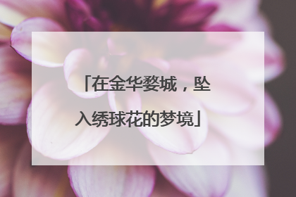 在金华婺城，坠入绣球花的梦境