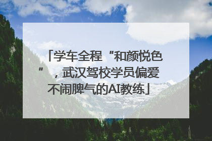 学车全程“和颜悦色”，武汉驾校学员偏爱不闹脾气的AI教练