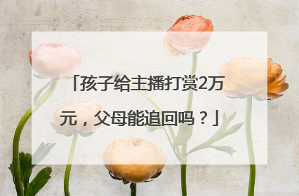 孩子给主播打赏2万元，父母能追回吗？
