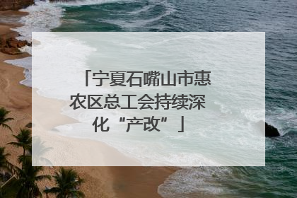 宁夏石嘴山市惠农区总工会持续深化“产改”
