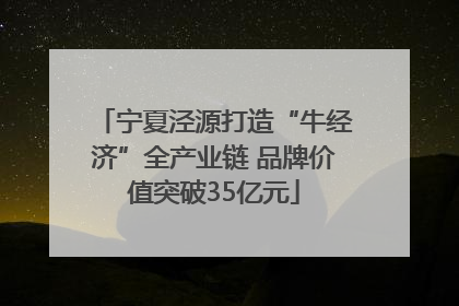 宁夏泾源打造“牛经济”全产业链 品牌价值突破35亿元