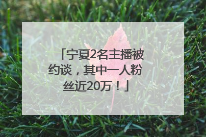 宁夏2名主播被约谈，其中一人粉丝近20万！