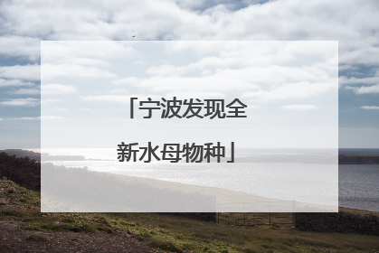 宁波发现全新水母物种
