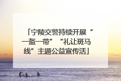 宁陵交警持续开展“一盔一带”“礼让斑马线”主题公益宣传活