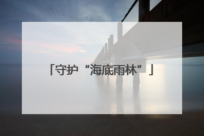 守护“海底雨林”