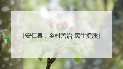 安仁县：乡村善治 民生提质