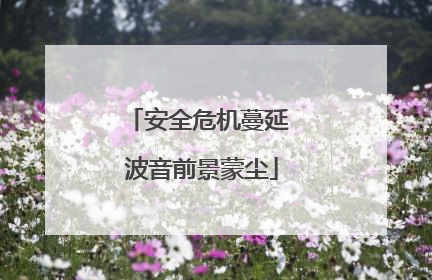 安全危机蔓延 波音前景蒙尘