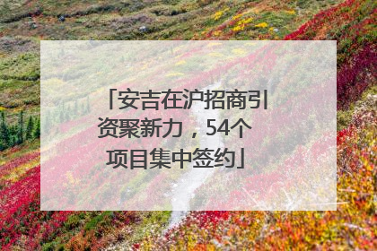 安吉在沪招商引资聚新力，54个项目集中签约