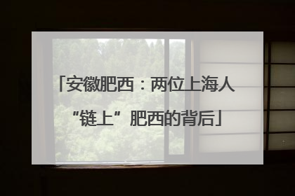 安徽肥西：两位上海人“链上”肥西的背后