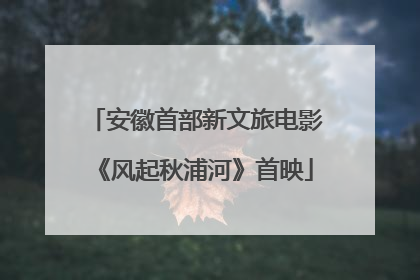 安徽首部新文旅电影《风起秋浦河》首映