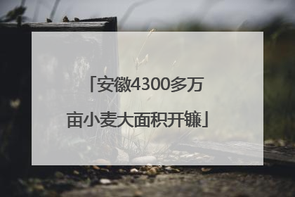 安徽4300多万亩小麦大面积开镰