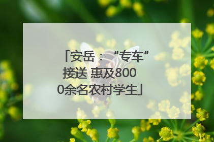 安岳：“专车”接送 惠及8000余名农村学生