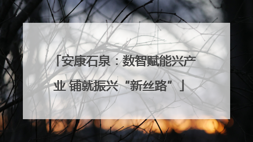 安康石泉：数智赋能兴产业 铺就振兴“新丝路”