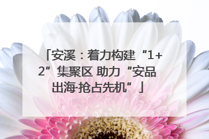 安溪：着力构建“1+2”集聚区 助力“安品出海·抢占先机”