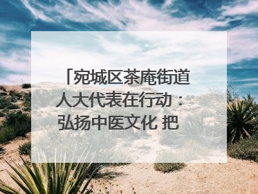 宛城区茶庵街道人大代表在行动：弘扬中医文化 把脉基层健康