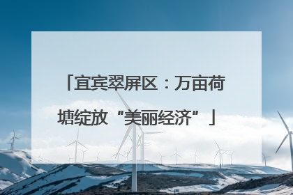 宜宾翠屏区：万亩荷塘绽放“美丽经济”