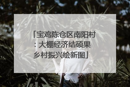 宝鸡陈仓区南阳村：大棚经济结硕果 乡村振兴绘新图