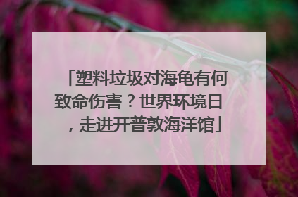 塑料垃圾对海龟有何致命伤害？世界环境日，走进开普敦海洋馆