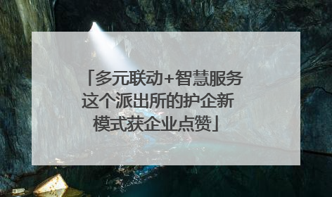 多元联动+智慧服务 这个派出所的护企新模式获企业点赞