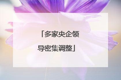 多家央企领导密集调整