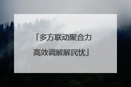 多方联动聚合力 高效调解解民忧